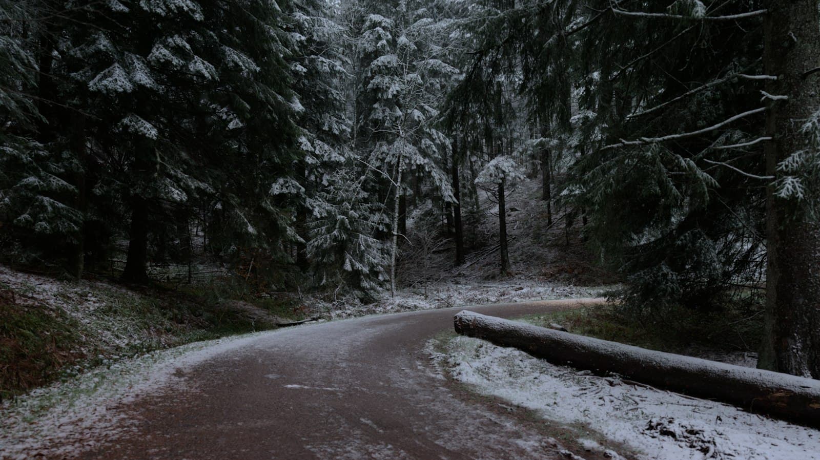 Verschneiter Waldweg im Winter