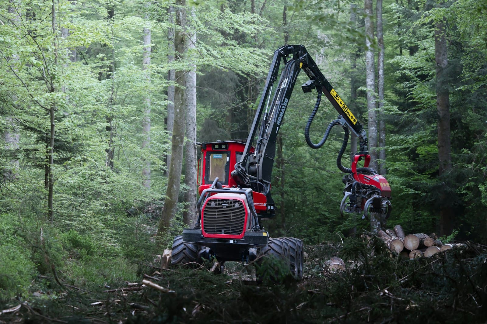 Rote Forstmaschine im dichten Wald