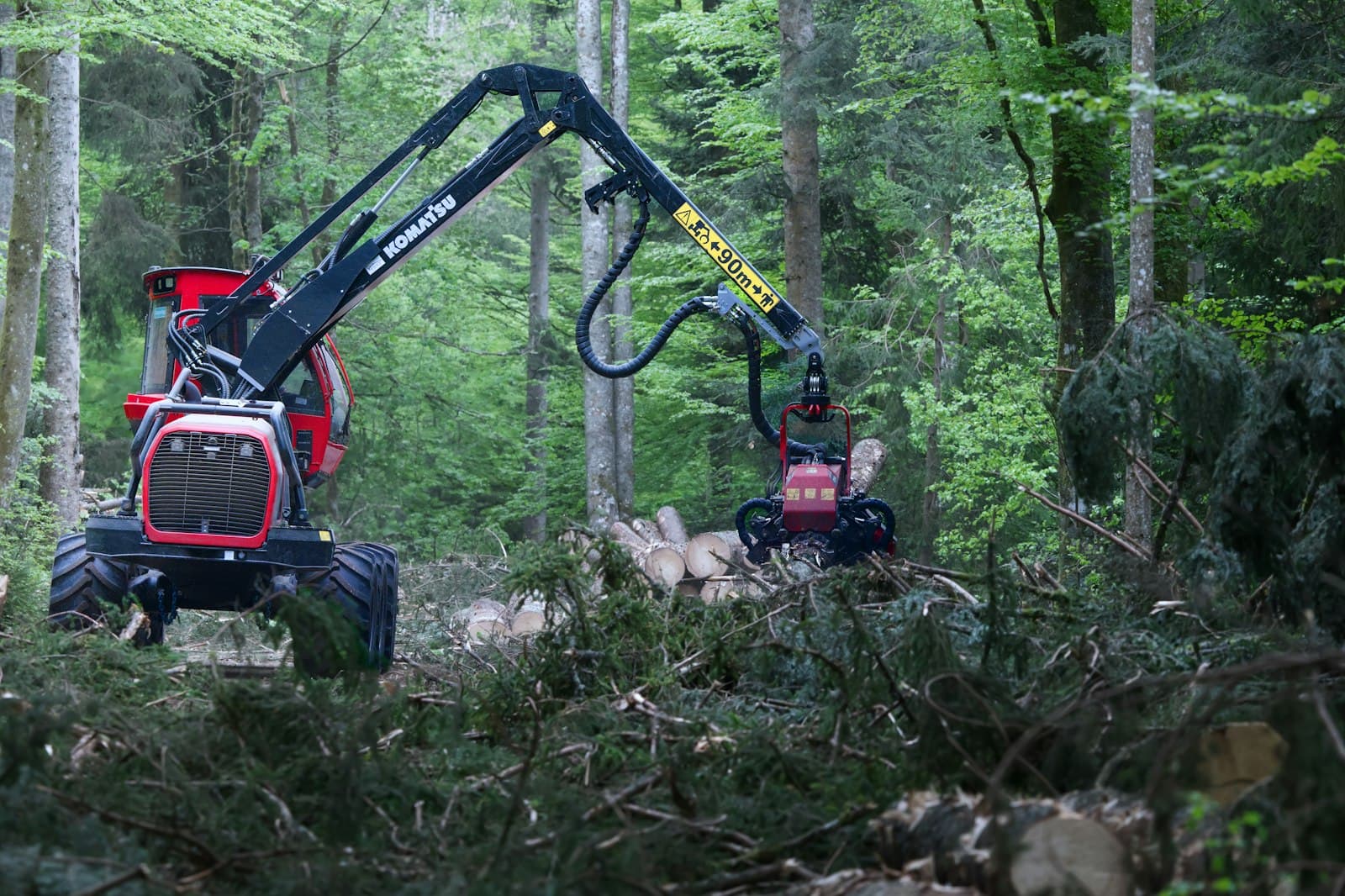 Forstmaschine bei der Holzernte