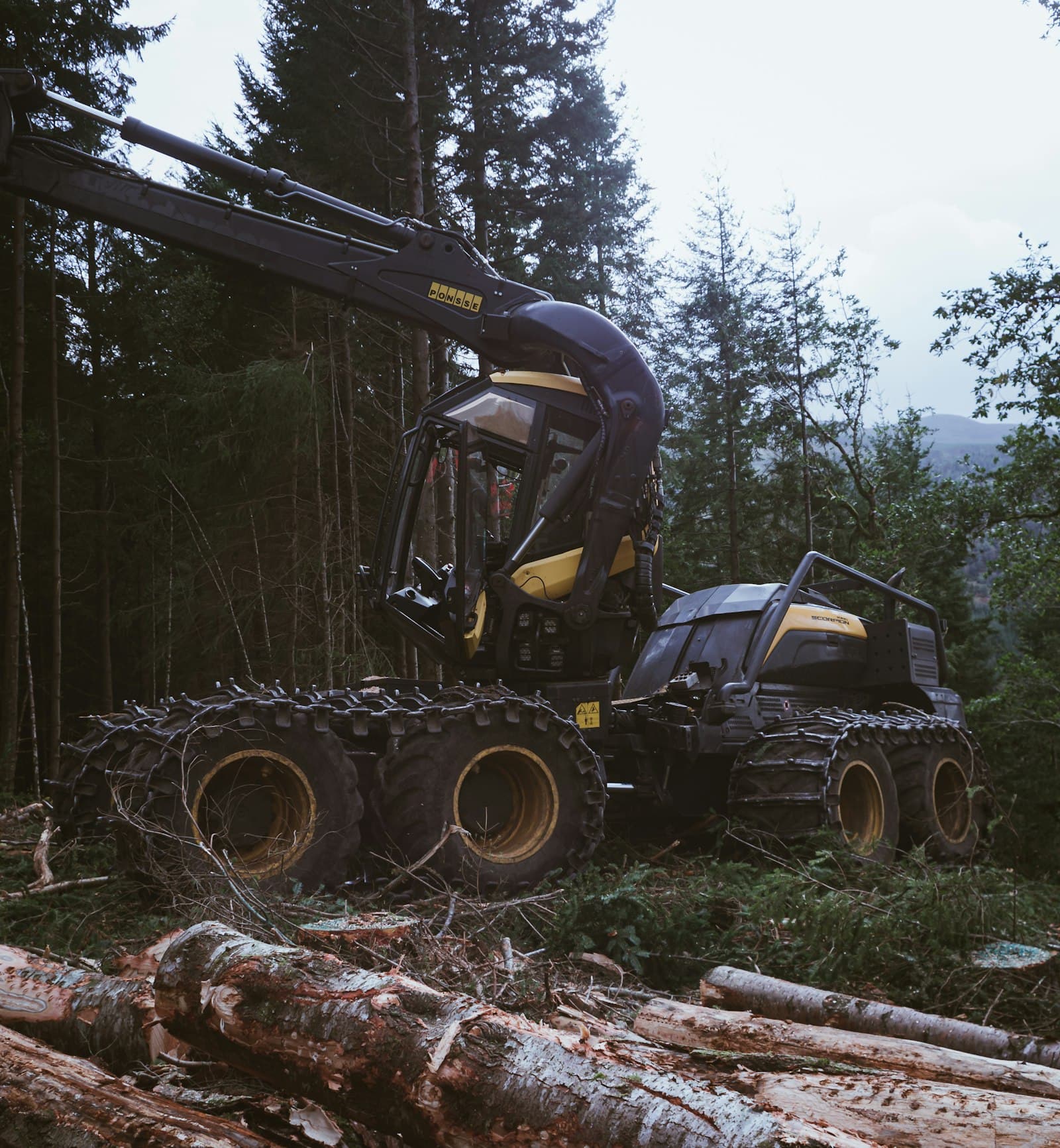 Traktor auf einem Waldweg