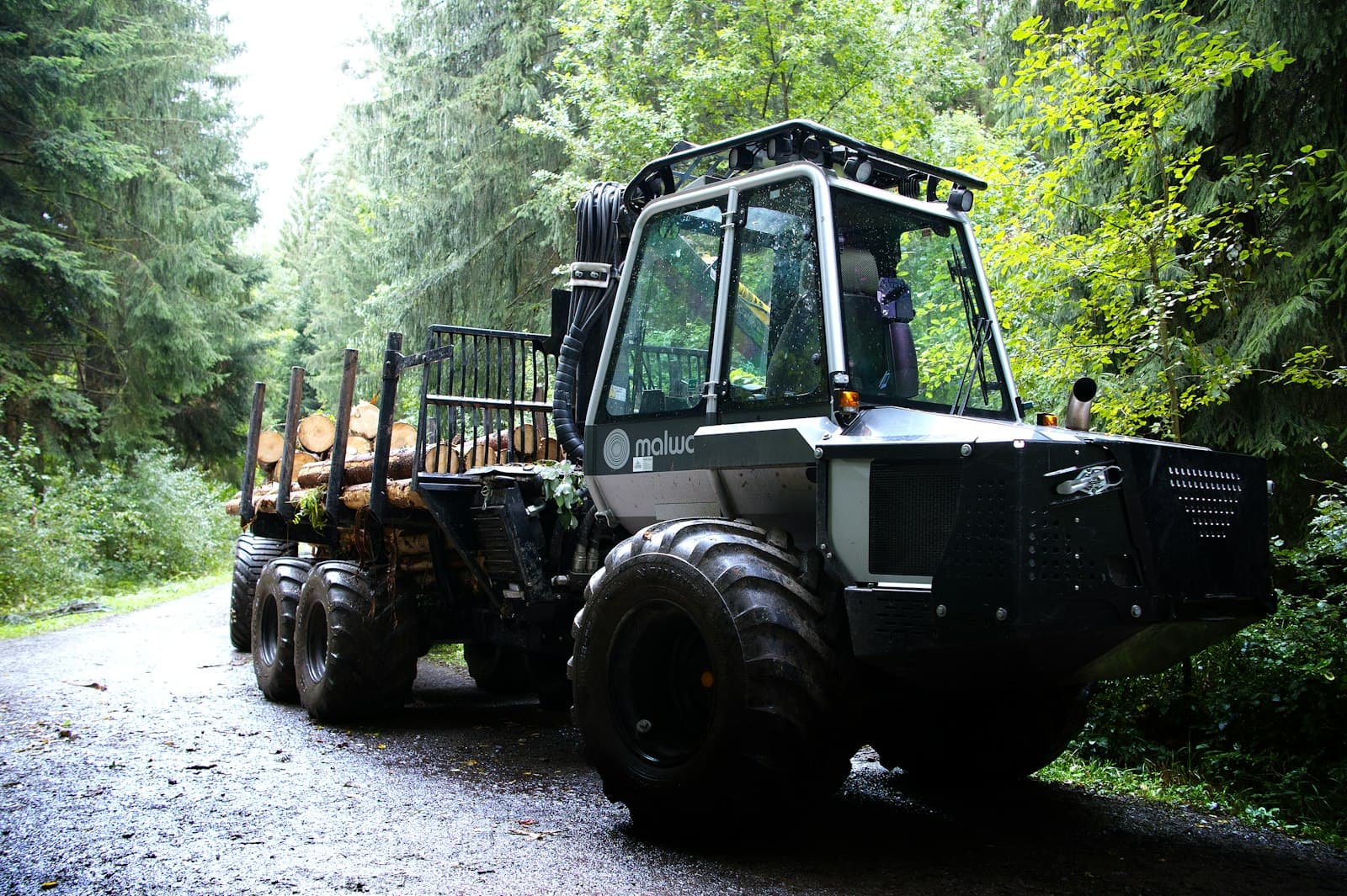Holztransporter beladen mit Rundholz im Wald